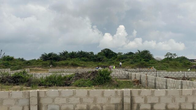 IMG-20250819-WA0066